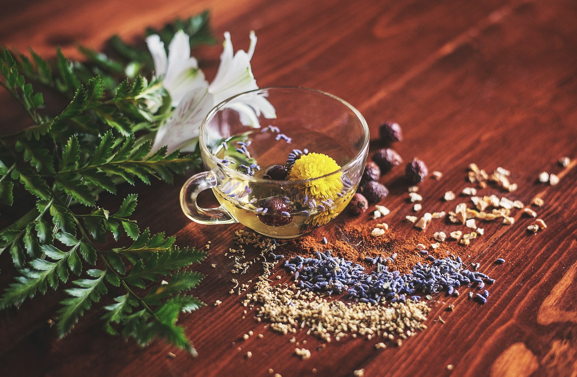 Herbs, dried flowers and botanicals for essential oils and extracts
